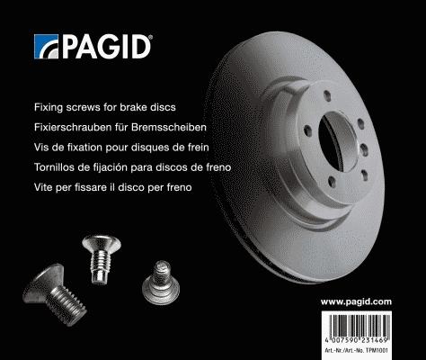 Pagid TPM1001 - Vintlər çeşidi furqanavto.az