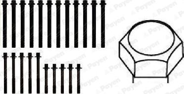 Payen HBS106 - Bolt dəsti, silindr başlığı furqanavto.az