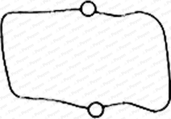Payen JM5186 - Conta, silindr baş örtüyü furqanavto.az