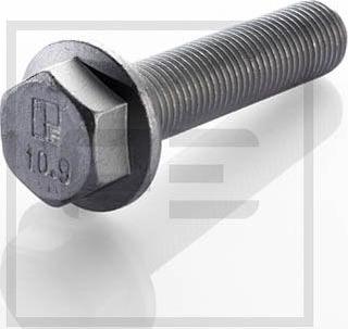 PE Automotive 010.170-00A - Bolt, əyləc diski www.furqanavto.az