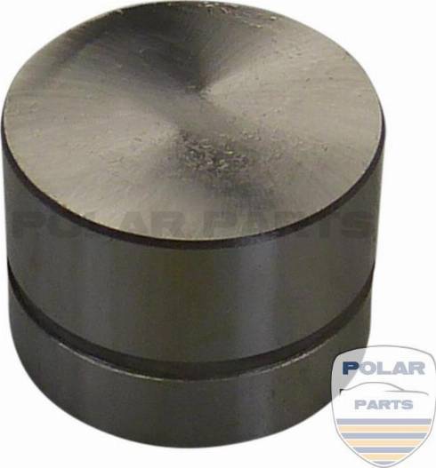 PolarParts 10004656 - Tappet / Rokçu furqanavto.az