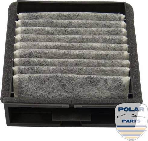PolarParts 10000012 - Filtr, daxili hava furqanavto.az