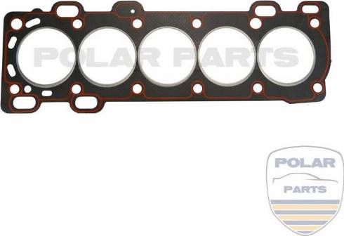 PolarParts 10000138 - Conta, silindr başlığı furqanavto.az