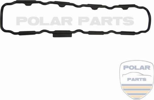 PolarParts 10003359 - Conta, silindr baş örtüyü furqanavto.az