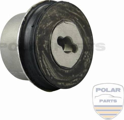 PolarParts 10002325 - Nəzarət Kolu / Arxa Qol furqanavto.az