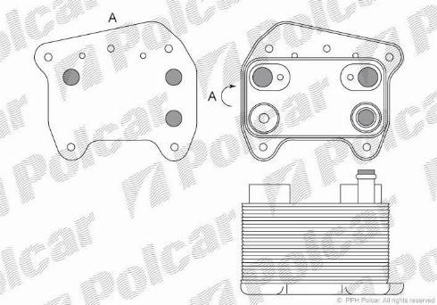 Polcar 5003L82X - Yağ soyuducu, mühərrik yağı furqanavto.az