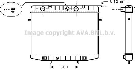 Prasco OL2175 - Radiator, mühərrikin soyudulması furqanavto.az