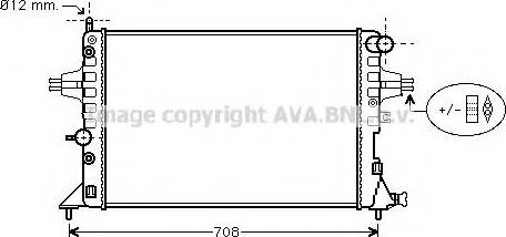 Prasco OL2254 - Radiator, mühərrikin soyudulması furqanavto.az