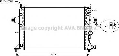 Prasco OL2255 - Radiator, mühərrikin soyudulması furqanavto.az