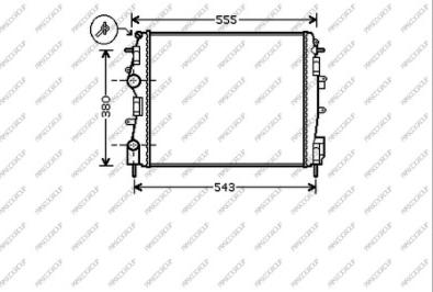 Prasco RN917R008 - Radiator, mühərrikin soyudulması furqanavto.az