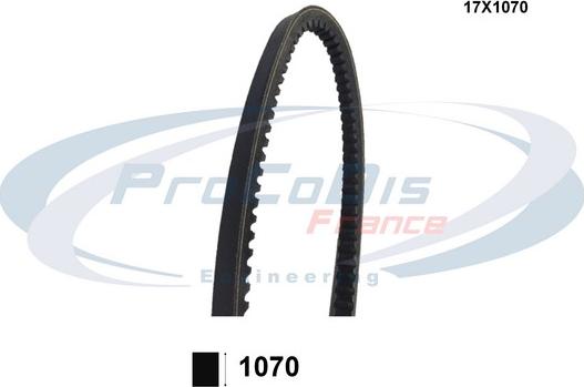 Procodis France 17X1070 - V-kəmər furqanavto.az