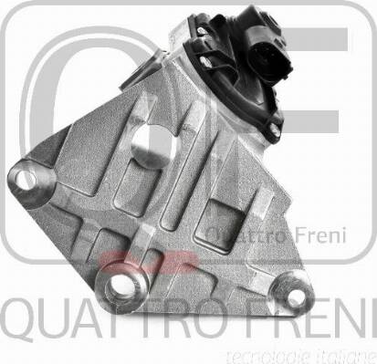 Quattro Freni QF47A00066 - EGR Valf furqanavto.az