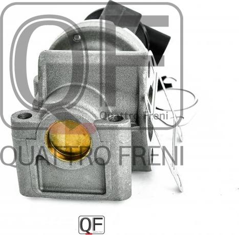 Quattro Freni QF00T01470 - EGR Valf furqanavto.az