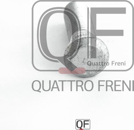 Quattro Freni QF10D00026 - Təkər dirəyi furqanavto.az