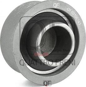 Quattro Freni QF33A00075 - Gərginlik kasnağı, vaxt kəməri furqanavto.az