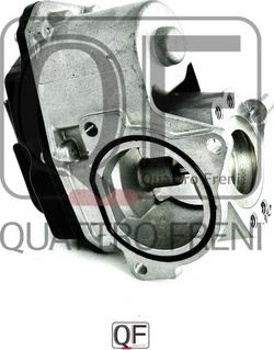 Quattro Freni QF28A00003 - EGR Valf furqanavto.az