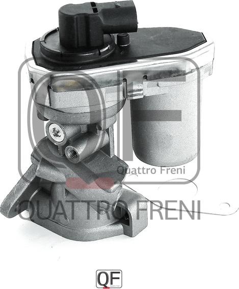 Quattro Freni QF28A00002 - EGR Valf furqanavto.az