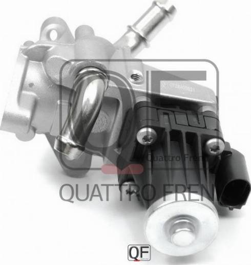 Quattro Freni QF28A00021 - EGR Valf furqanavto.az