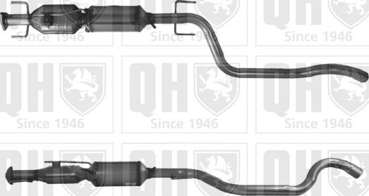 Quinton Hazell QDPF11028H - Tüs / Hissəcik filtri, egzoz sistemi furqanavto.az