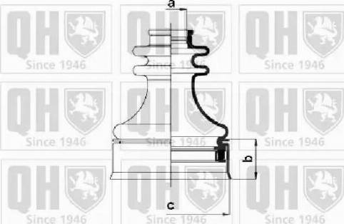 Quinton Hazell QJB568 - Körük, sürücü val furqanavto.az