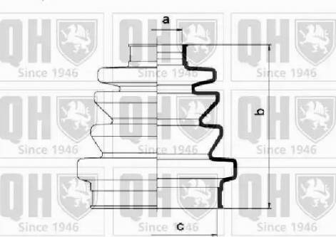 Quinton Hazell QJB1035 - Körük, sürücü val furqanavto.az