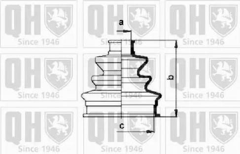 Quinton Hazell QJB119 - Körük, sürücü val furqanavto.az