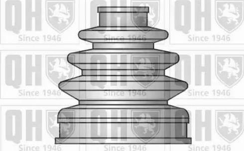 Quinton Hazell QJB348 - Körük, sürücü val furqanavto.az