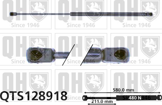 Quinton Hazell QTS128918 - Qazlı bulaq, baqaj, yük yeri furqanavto.az