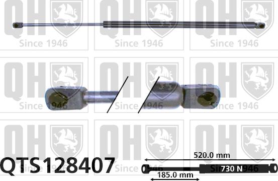 Quinton Hazell QTS128407 - Qazlı bulaq, baqaj, yük yeri furqanavto.az