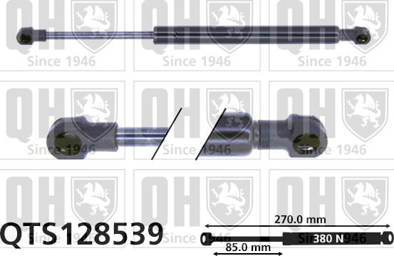 Quinton Hazell QTS128539 - Qazlı bulaq, baqaj, yük yeri furqanavto.az