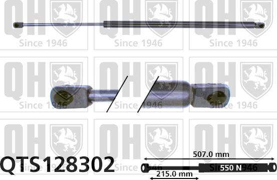 Quinton Hazell QTS128302 - Qazlı bulaq, baqaj, yük yeri furqanavto.az