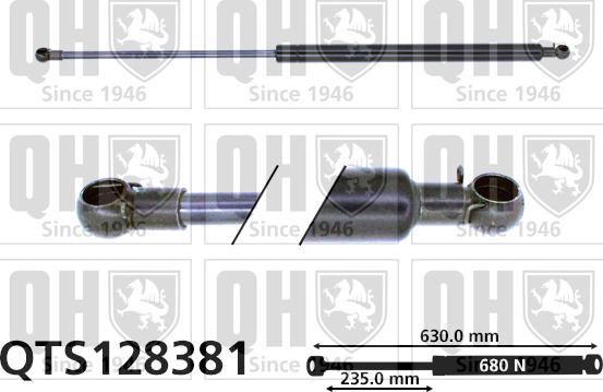 Quinton Hazell QTS128381 - Qazlı bulaq, baqaj, yük yeri furqanavto.az