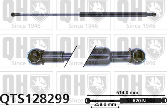 Quinton Hazell QTS128299 - Qazlı bulaq, baqaj, yük yeri furqanavto.az