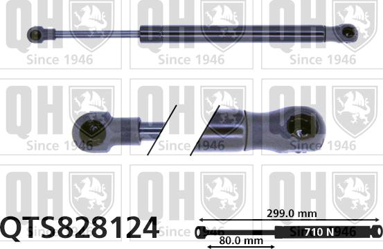 Quinton Hazell QTS828124 - Qazlı bulaq, baqaj, yük yeri furqanavto.az