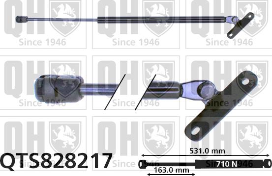 Quinton Hazell QTS828217 - Qazlı bulaq, baqaj, yük yeri furqanavto.az