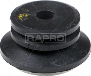 Rapro R54648 - Spacer Bush, amortizator furqanavto.az