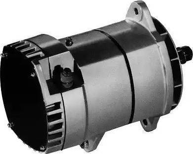 Remy 19010000 - Alternator furqanavto.az