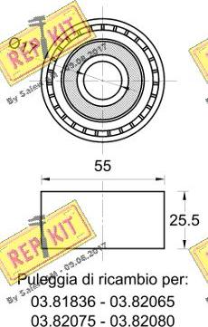 REPKIT RKT3553 - Yönləndirmə / Bələdçi Kasnağı, v-yivli kəmər www.furqanavto.az