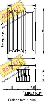 REPKIT RKT3174 - Kasnak, alternator, sərbəst dönərli mufta furqanavto.az