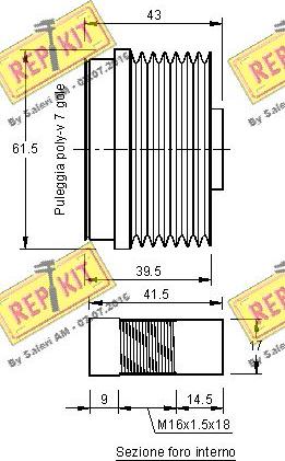 REPKIT RKT2971 - Kasnak, alternator, sərbəst dönərli mufta furqanavto.az