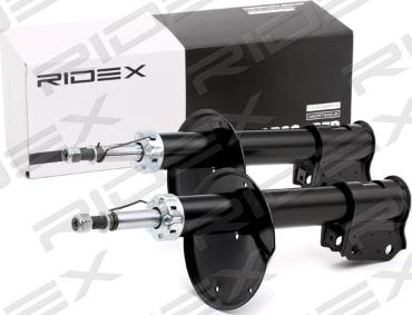 RIDEX 854S2290 - Amortizator furqanavto.az
