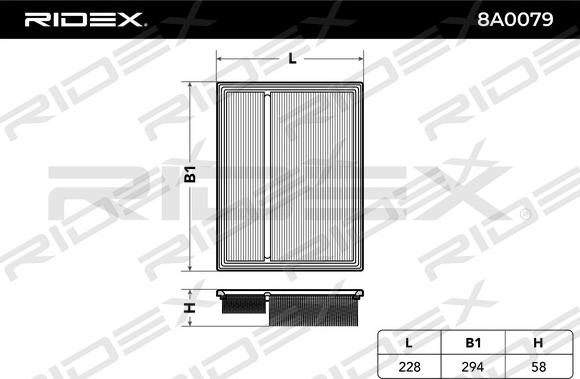 RIDEX 8A0079 - Hava filtri furqanavto.az