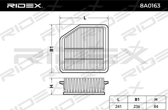 RIDEX 8A0163 - Hava filtri furqanavto.az