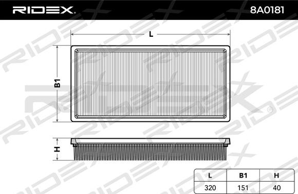 RIDEX 8A0181 - Hava filtri furqanavto.az