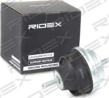 RIDEX 247E0099 - Tutacaq, mühərrik montajı furqanavto.az