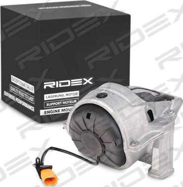 RIDEX 247E0231 - Tutacaq, mühərrik montajı furqanavto.az