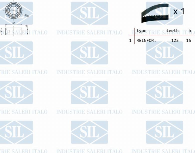 Saleri SIL TK1048 - Vaxt kəməri dəsti furqanavto.az