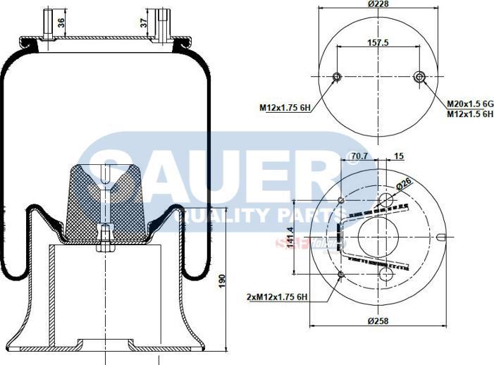 SAUER S2294159307 - Körük, pnevmatik asqı furqanavto.az