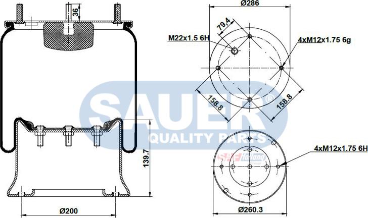 SAUER S2290810300 - Körük, pnevmatik asqı furqanavto.az