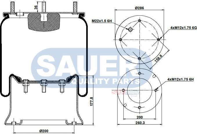 SAUER S2290813300 - Körük, pnevmatik asqı furqanavto.az